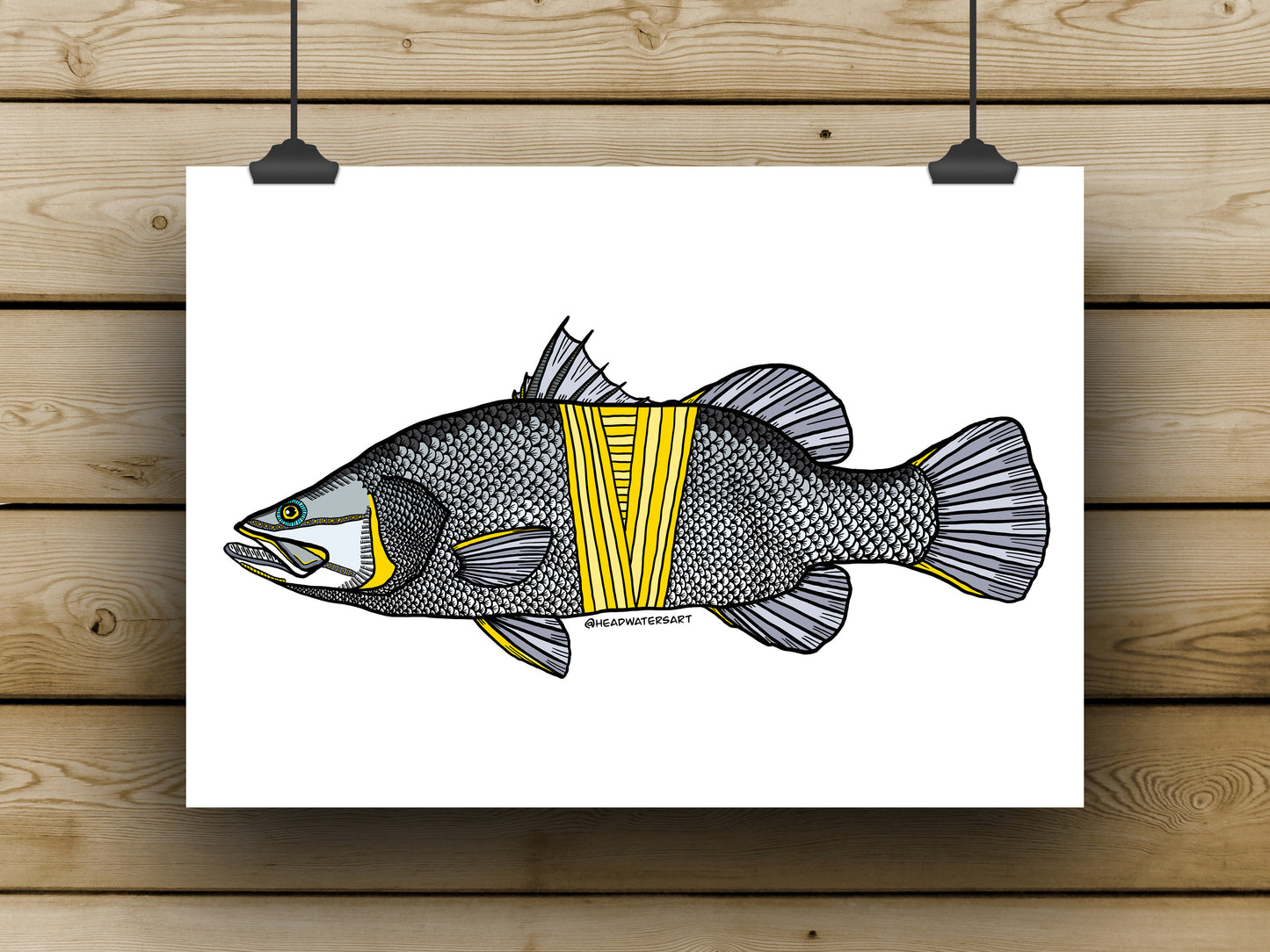 Saltwater Barramundi Prints - **MONTHLY PREORDER** See description