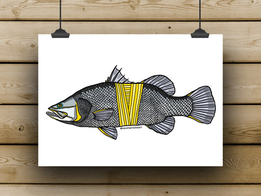 Saltwater Barramundi Prints - **MONTHLY PREORDER** See description