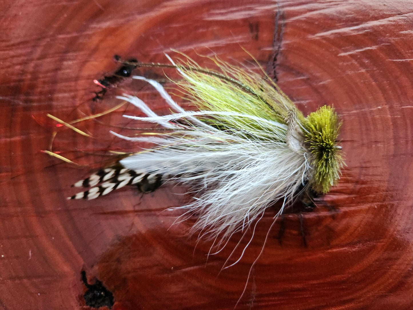 Buford - 1/0 - Olive / White
