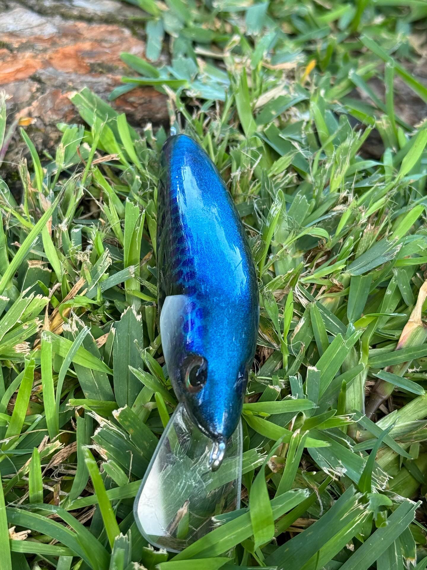 Bread Mullet Barra Jerk