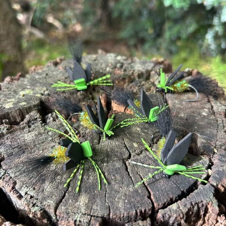 JP FOAM BUG - 1/0