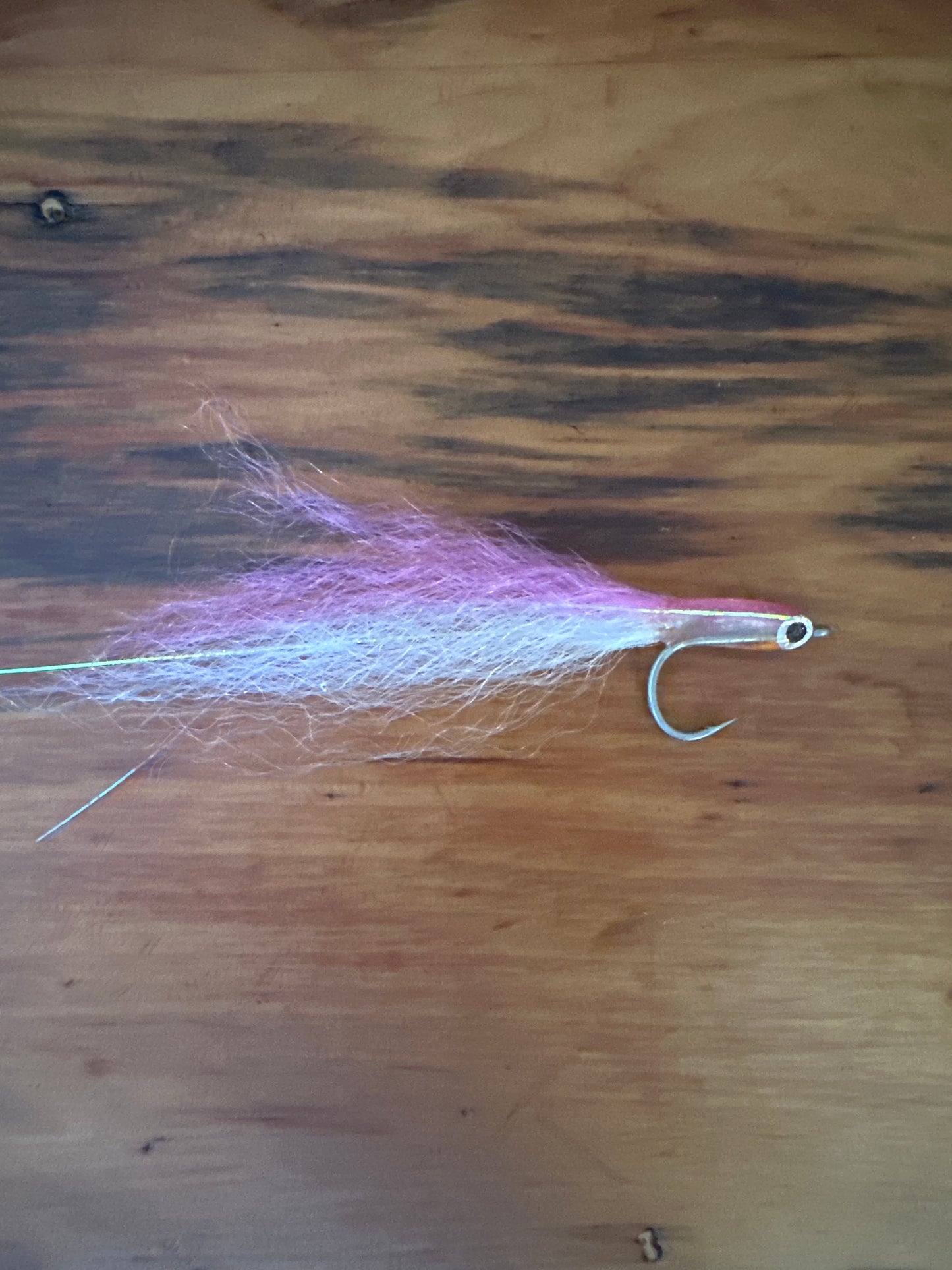 T'NF TUNA LOLLIE