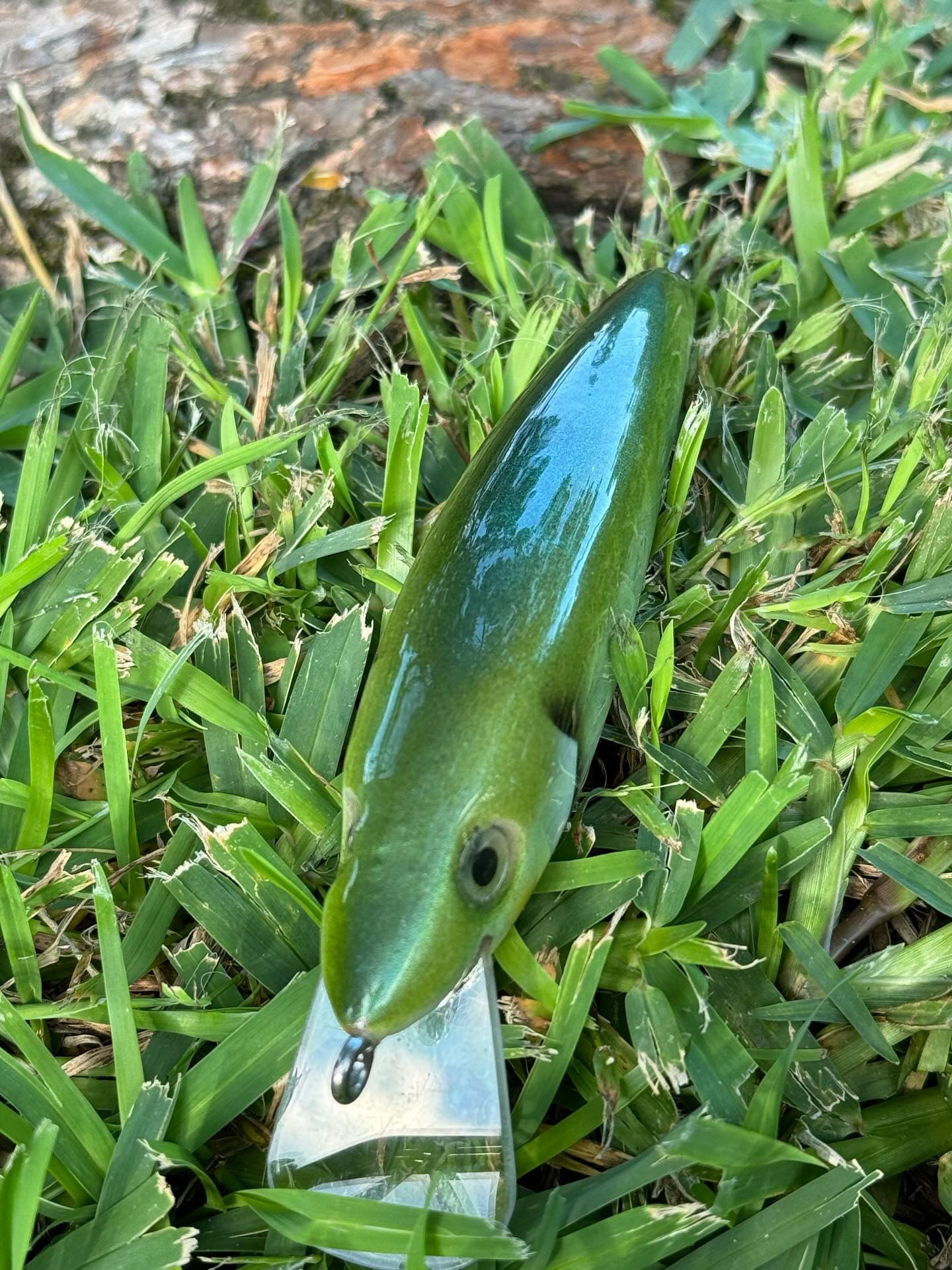 Bread Mullet Barra Jerk
