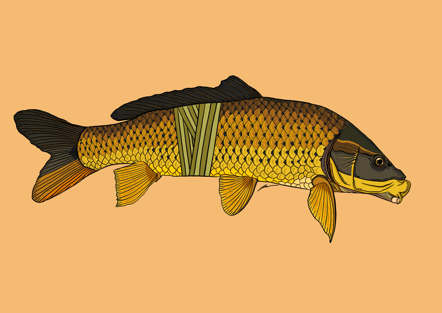 Carp Prints - **MONTHLY PREORDER** See description