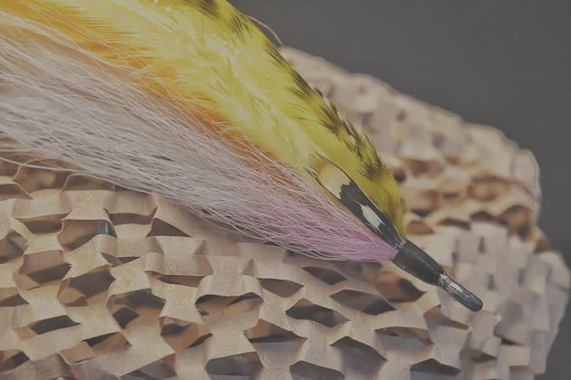 Flatwing 8/0 - Yellow/White