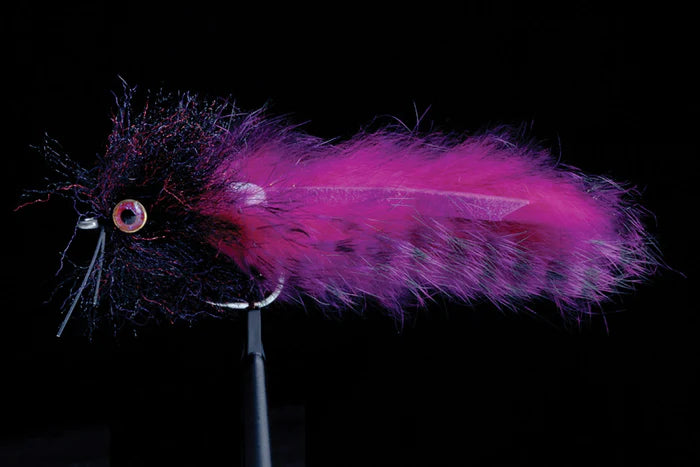 BRADLEY'S BARRA BUNNY