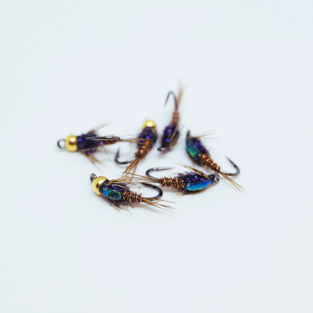 BLUE MOUNTAINS DROPPER RIG