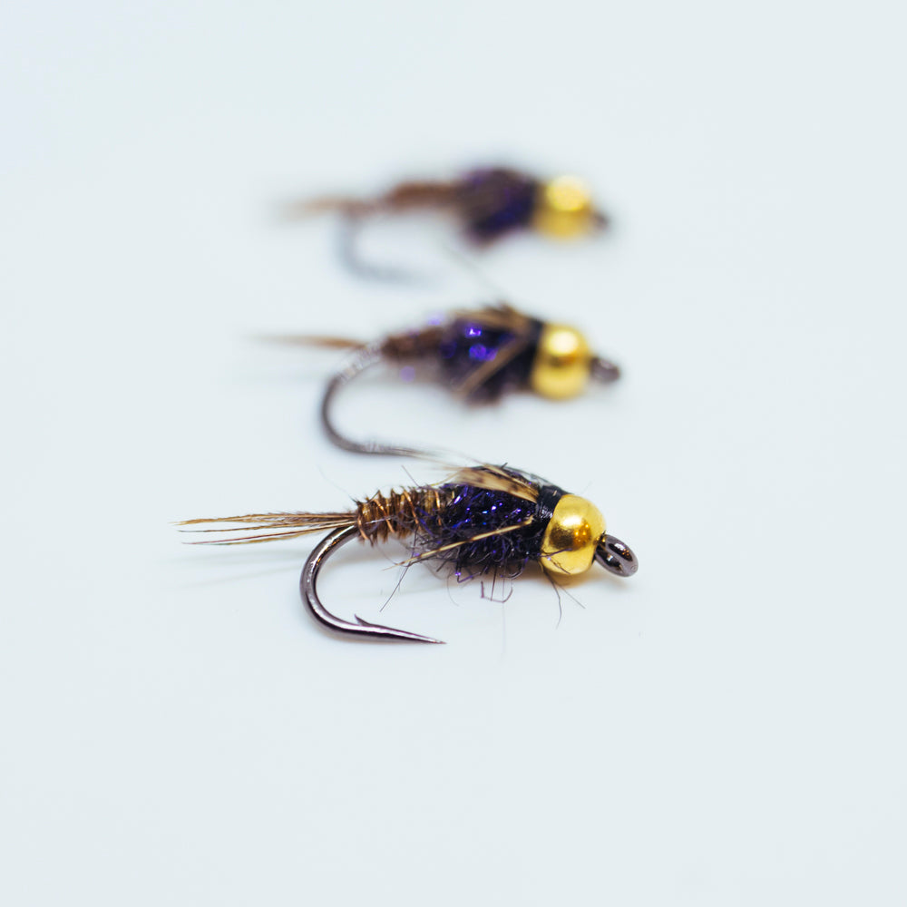 BLUE MOUNTAINS DROPPER RIG