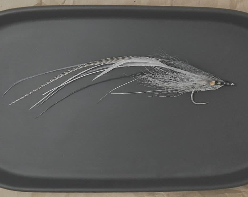 Flatwing - Grey & White