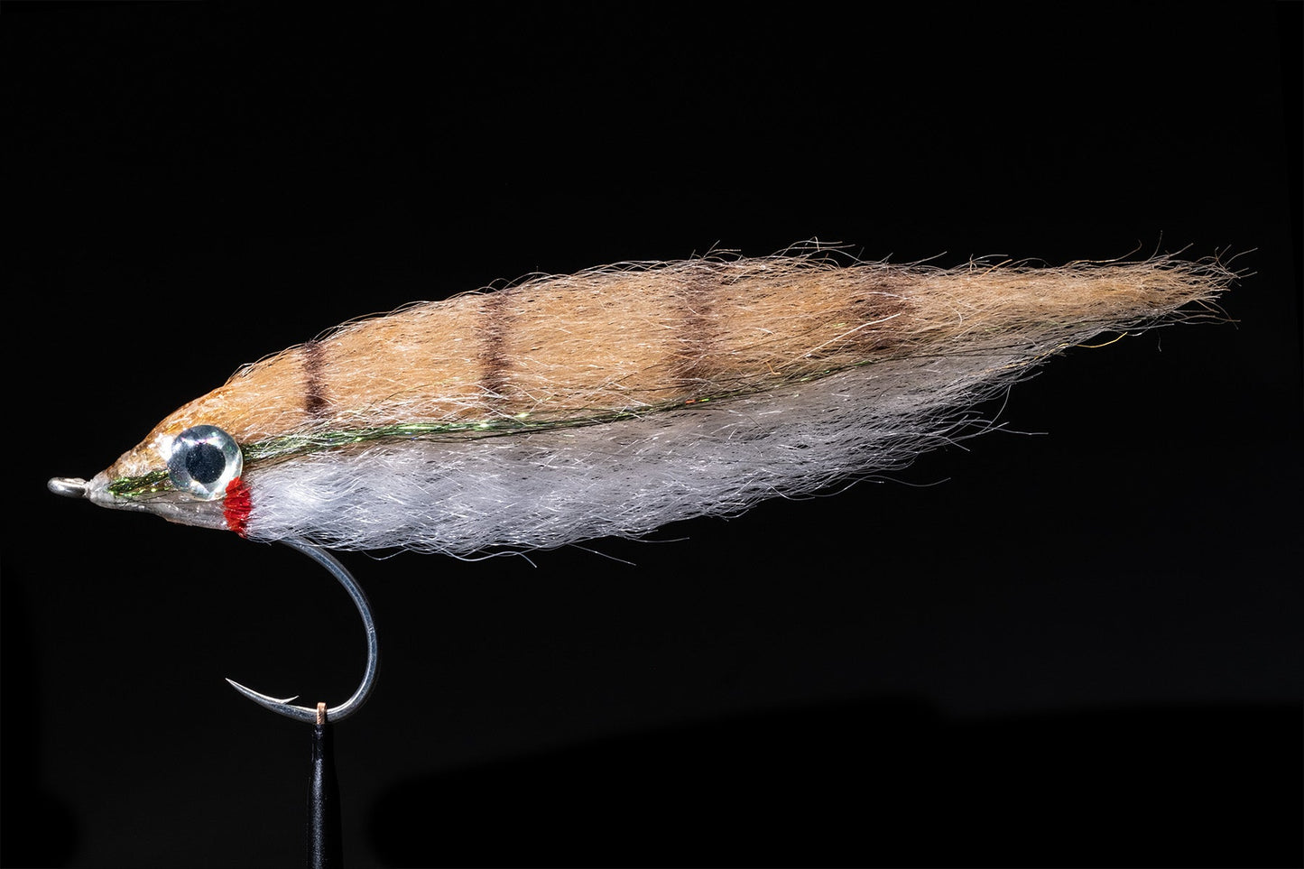 GT FLASHY PROFILE FLY