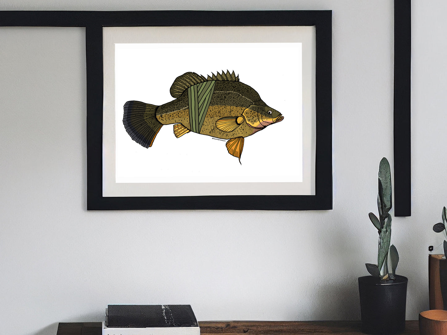 Yellow Belly Prints - **MONTHLY PREORDER** See description