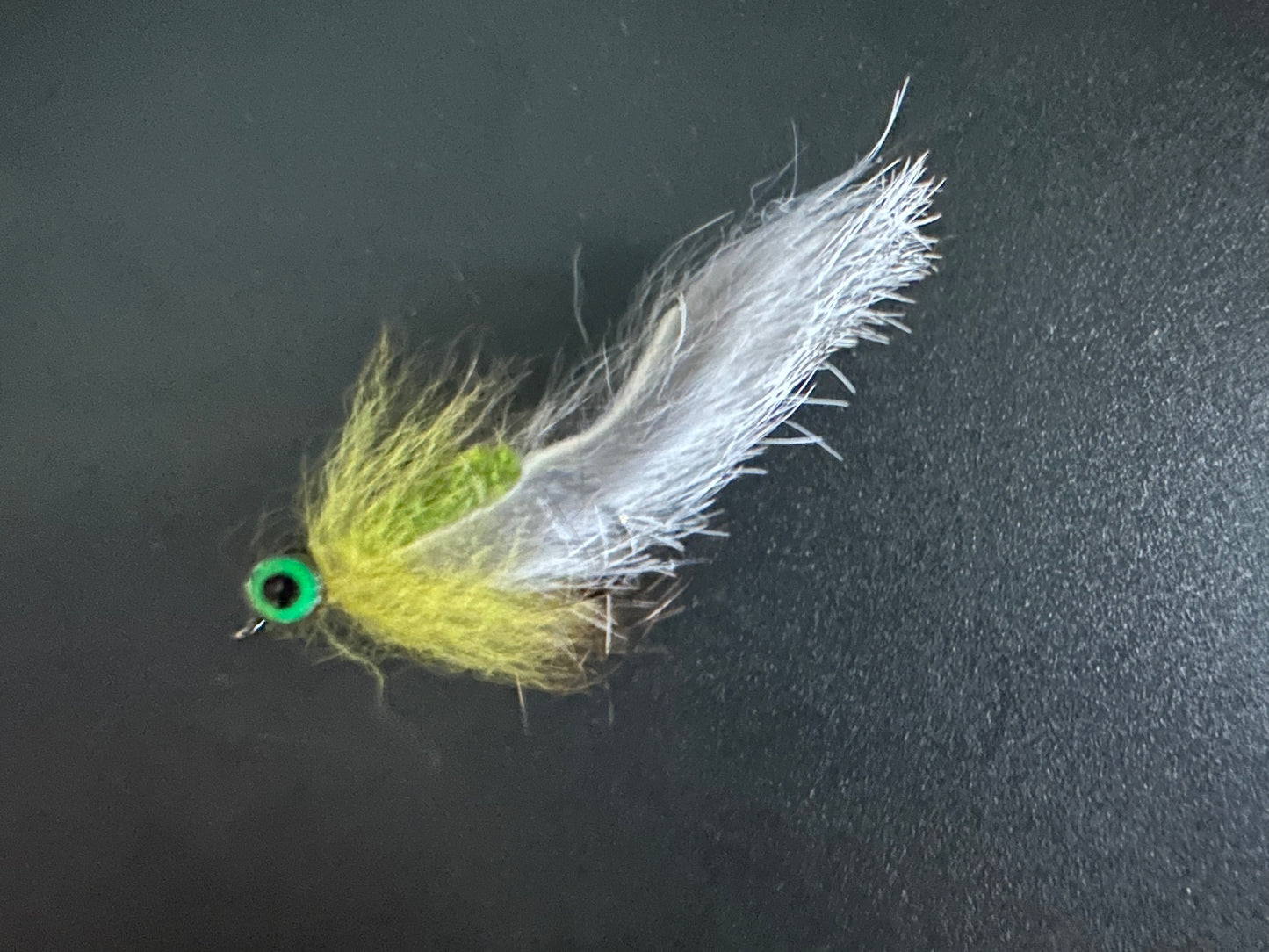 GREEN AND GREY LEECH