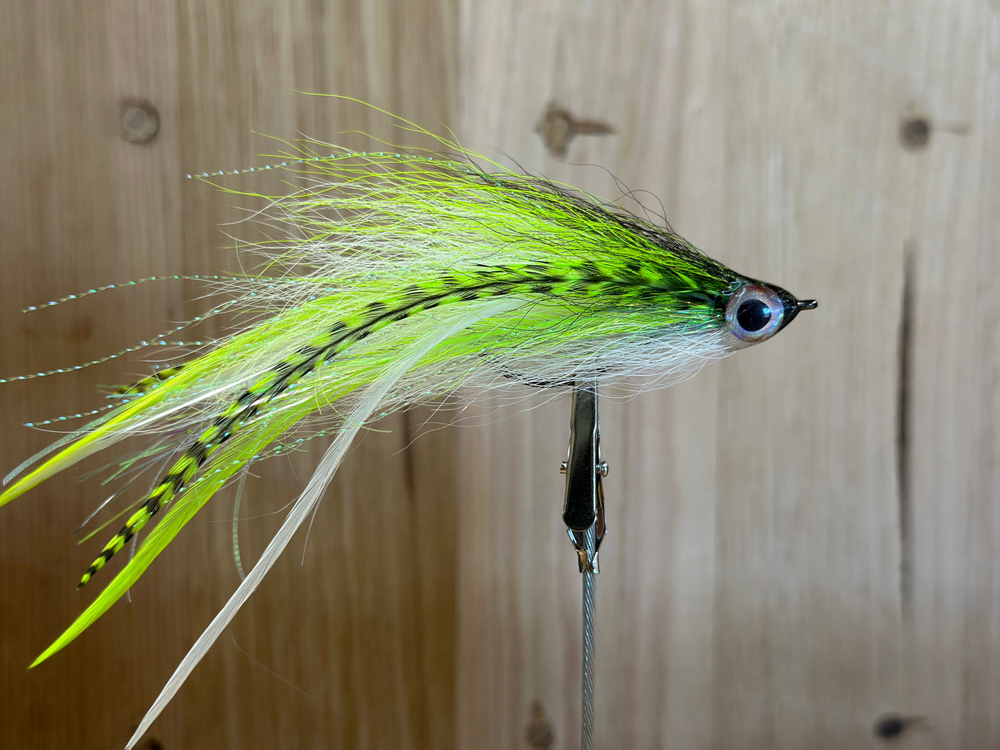 Bendback - Chartruese & White