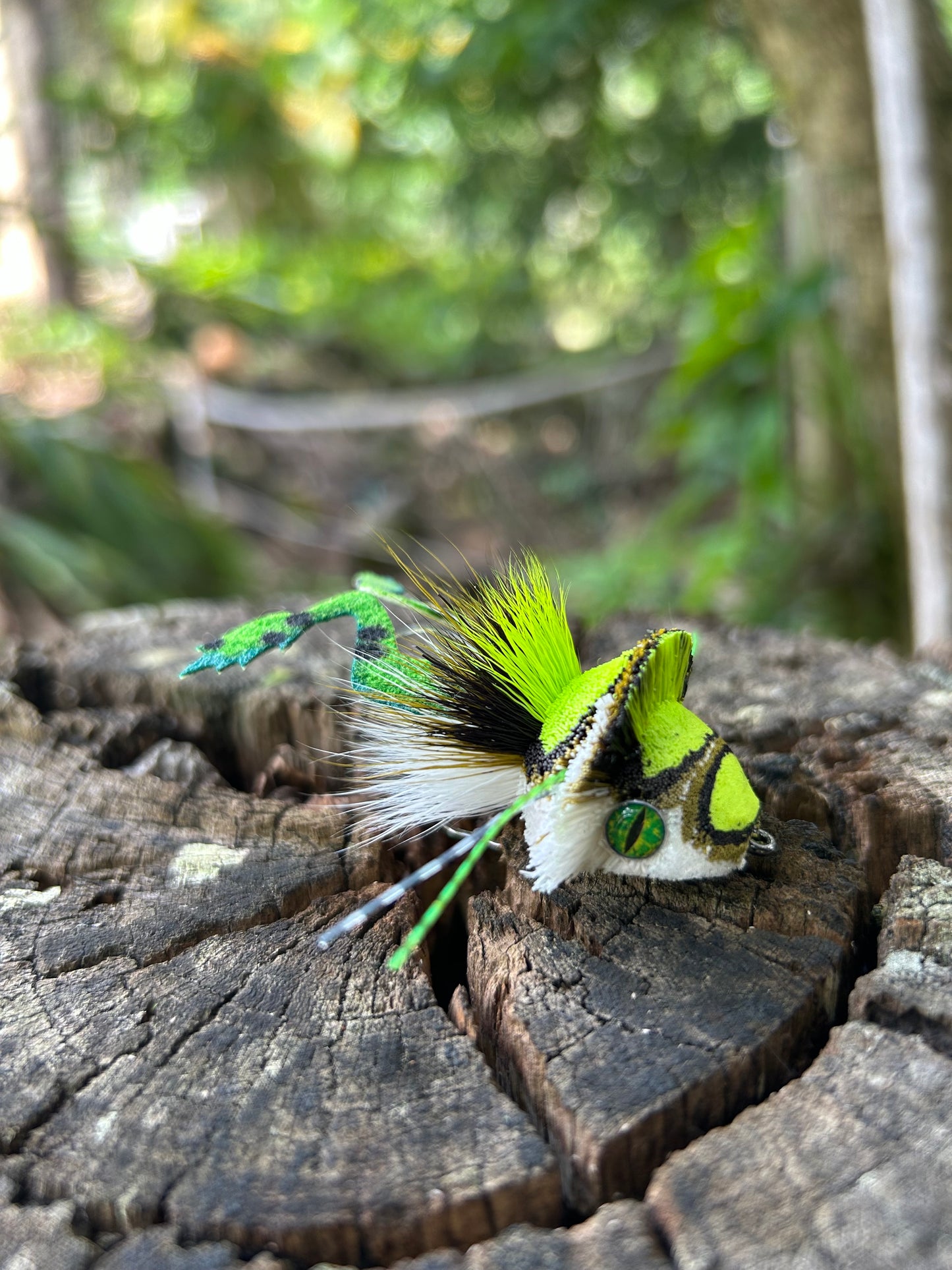 DAHLBERG DIVER FROG - CHARTREUSE, BLACK & WHITE