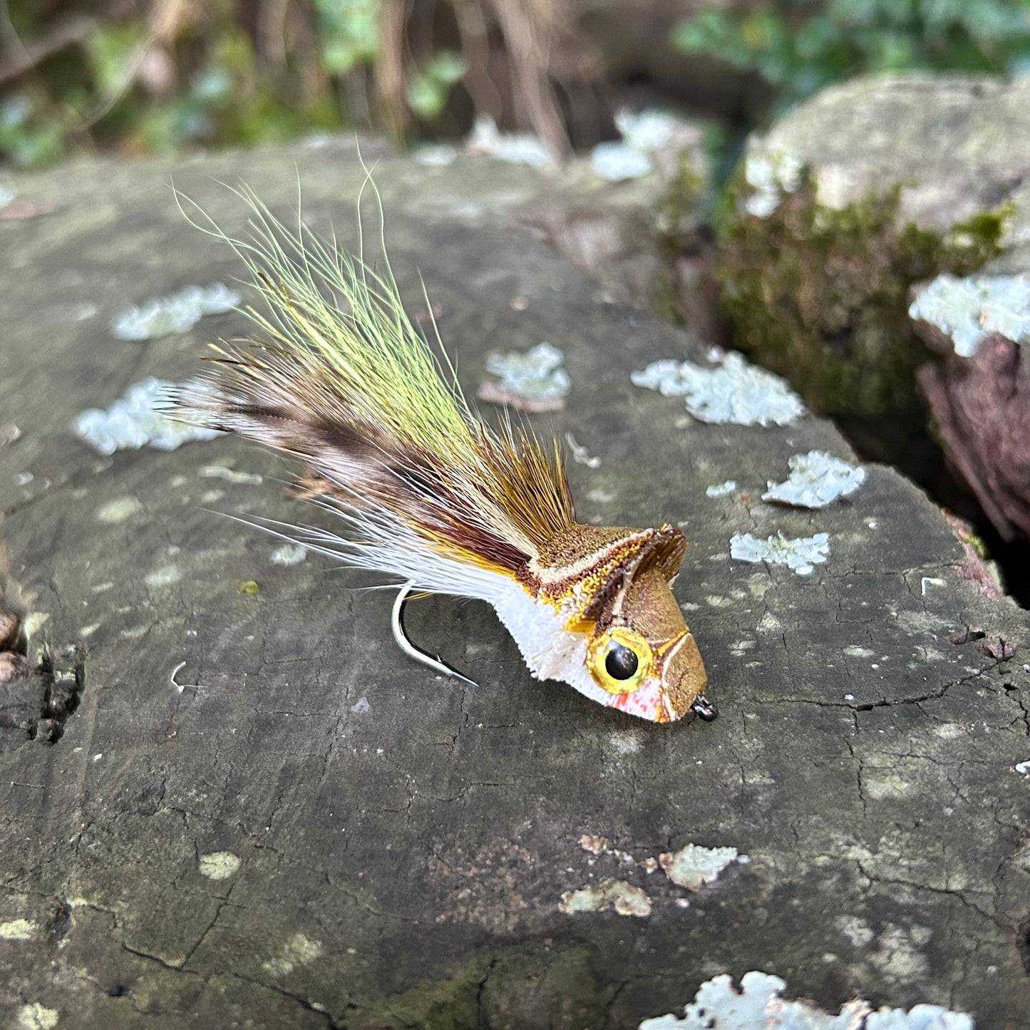 DAHLBERG DIVER