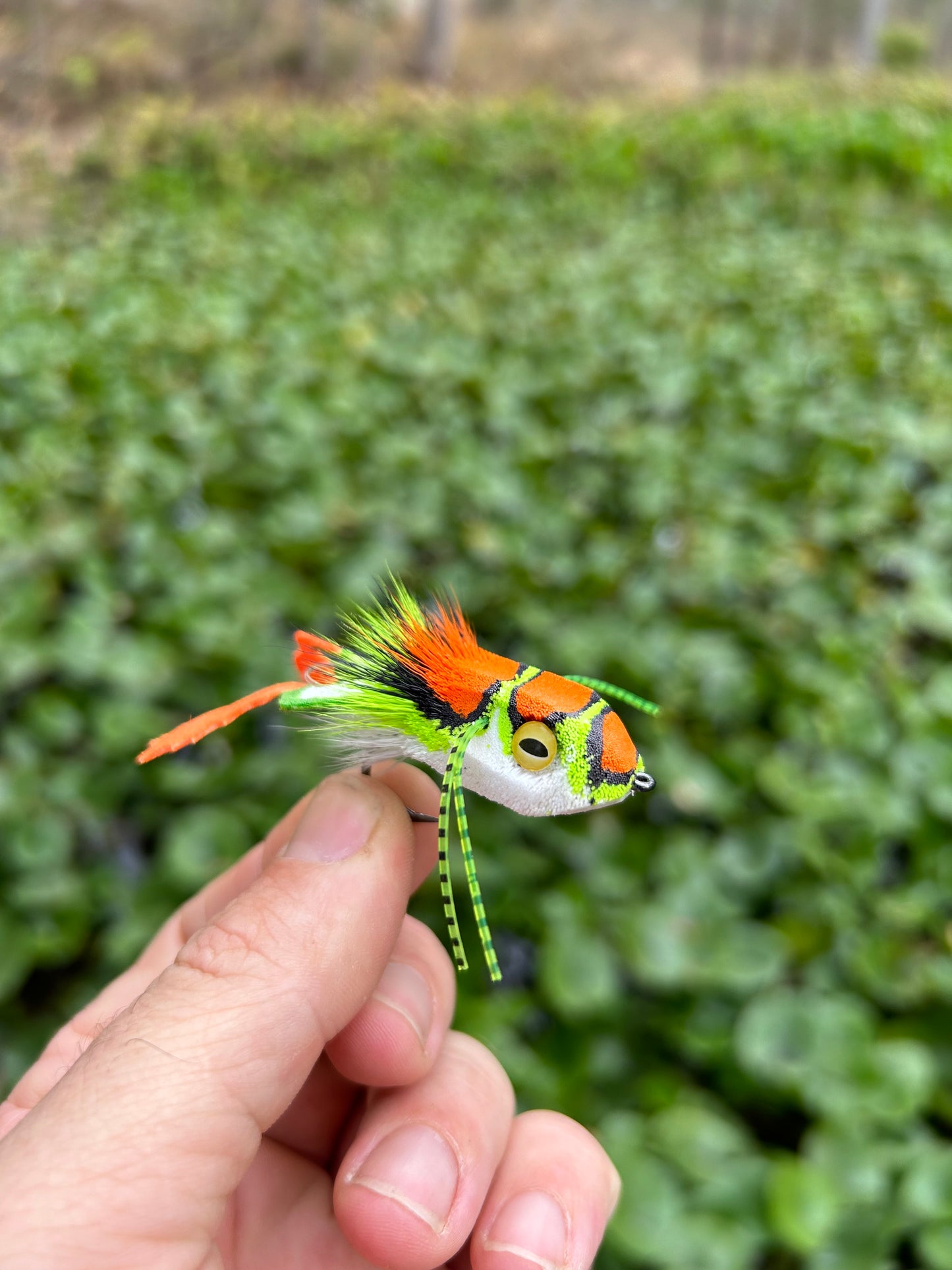 FROG SLIDER - ORANGE/CHARTREUSE