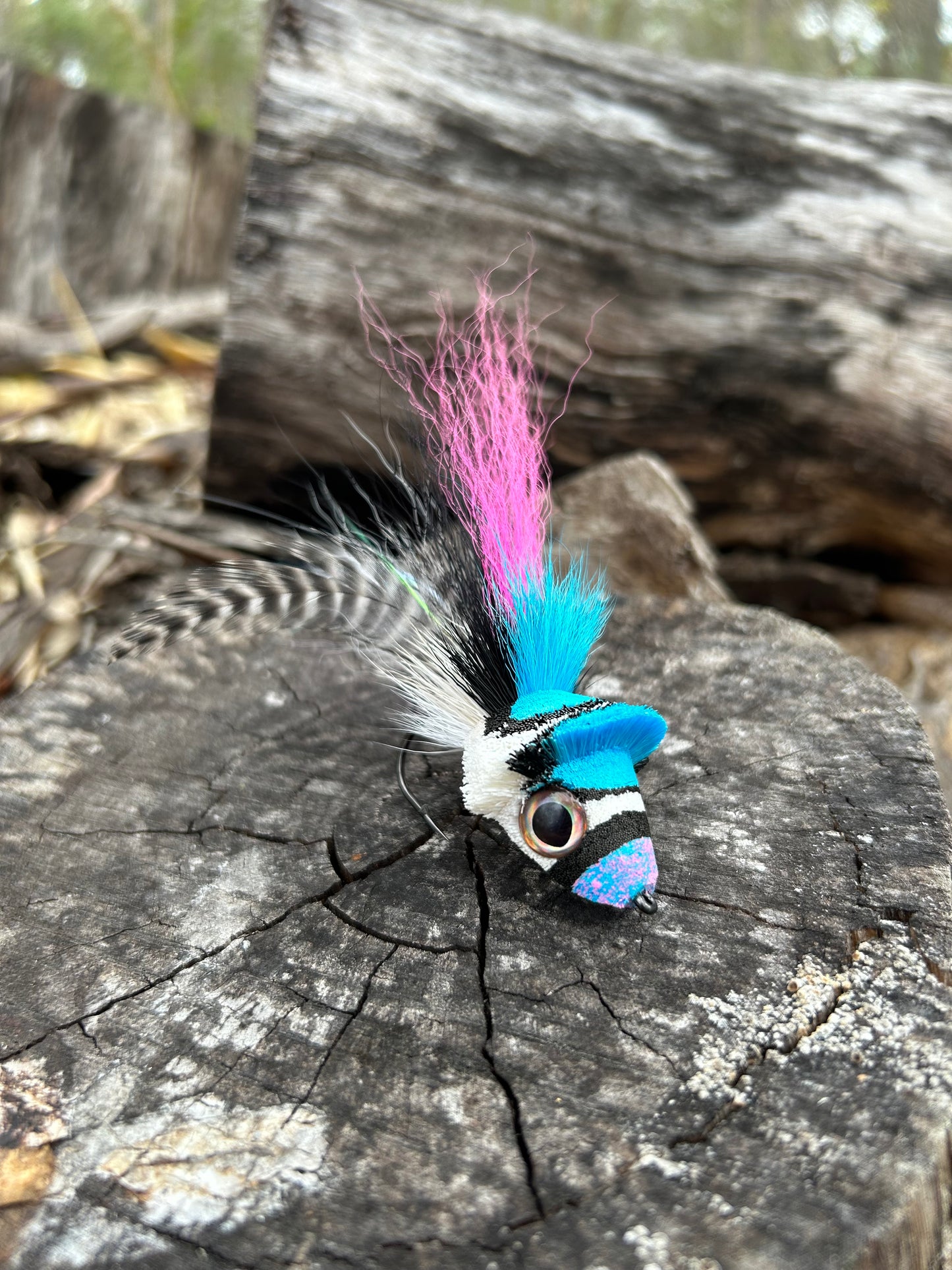 DAHLBERG DIVER - FAIRY FLOSS