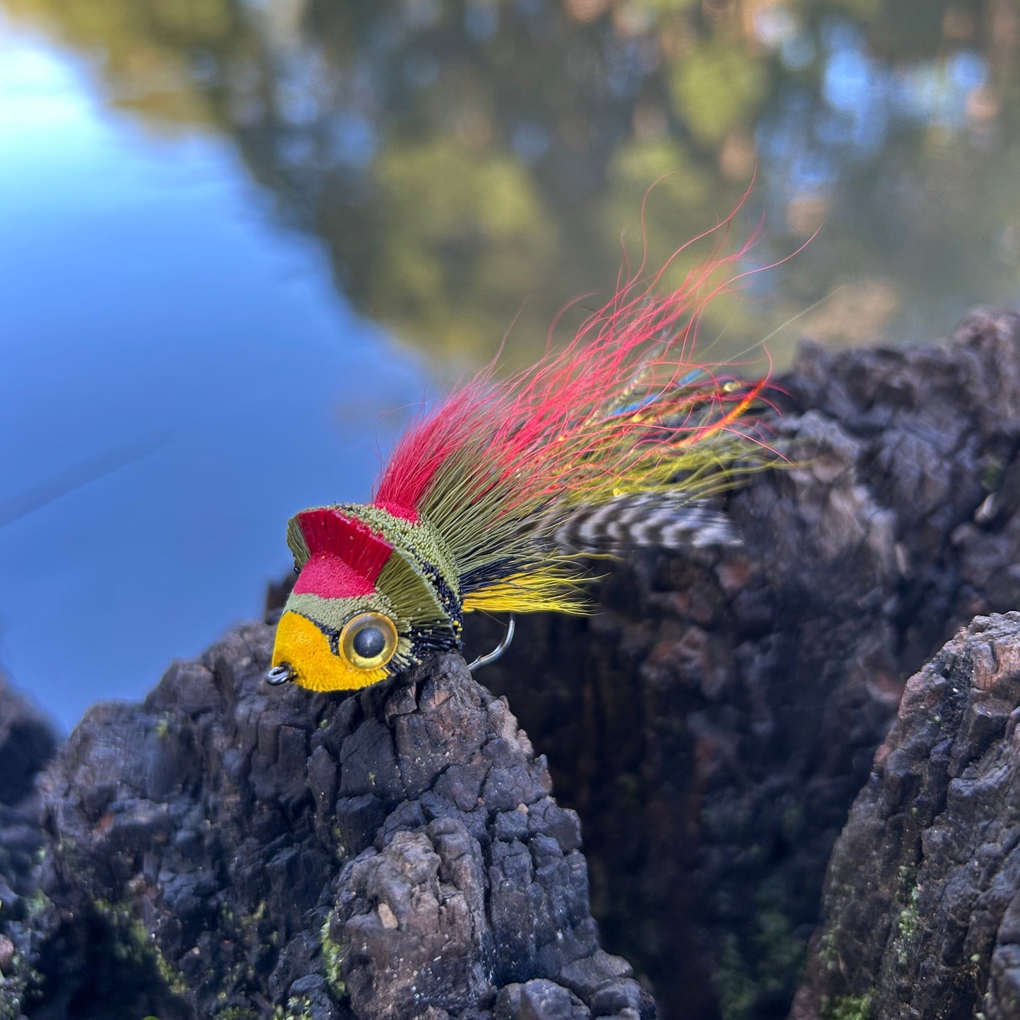 DAHLBERG DIVER - RED, BLACK & YELLOW