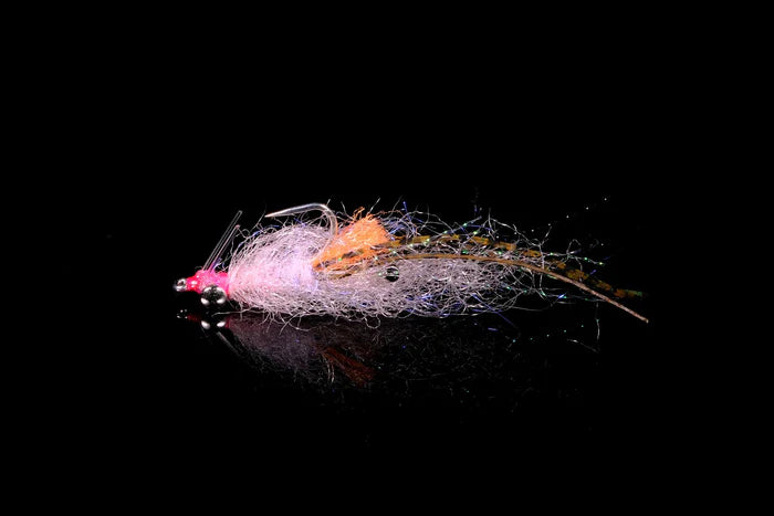 SPAWNING SHRIMP PINK