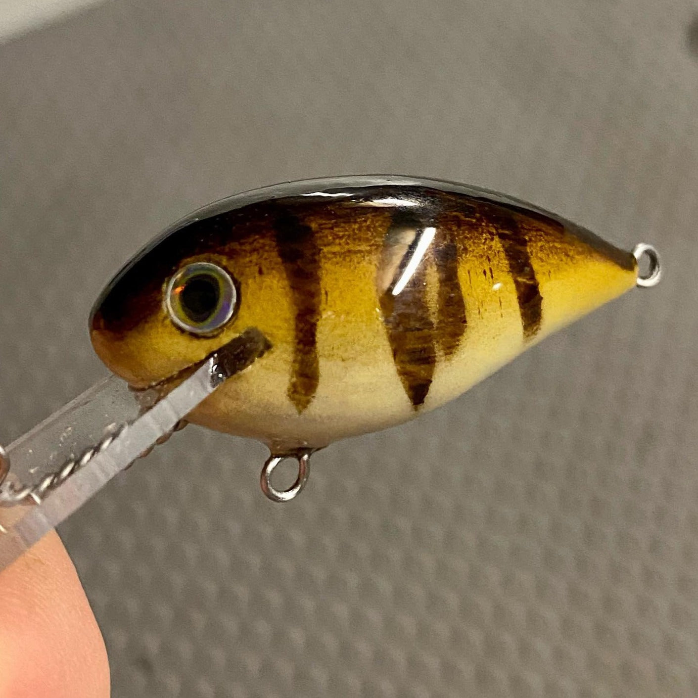 BABY BREADROLL - GHOST GILL BROWN