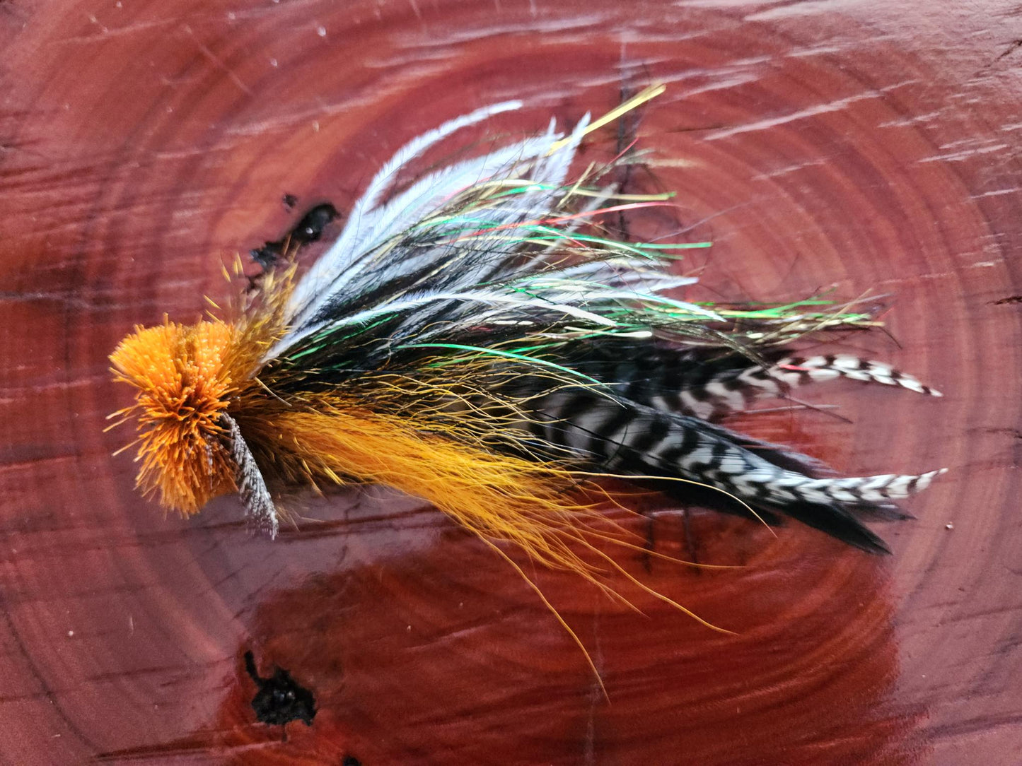 Buford - 4/0 - Orange & Black