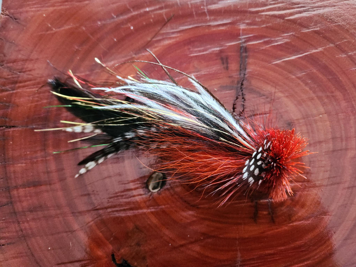 Buford - 4/0 - Red & Black