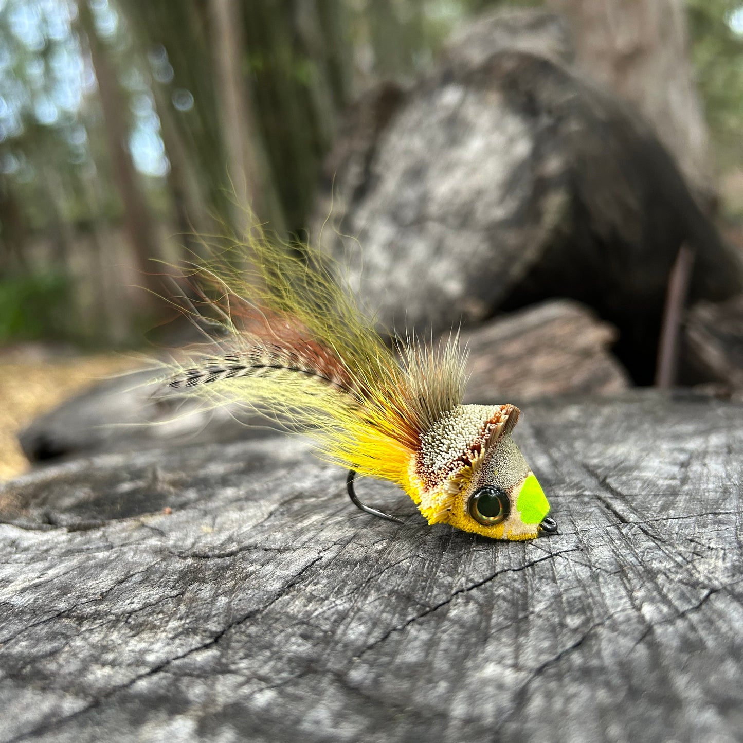 DAHLBERG DIVER - 1/0