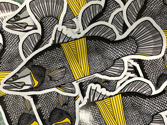 Saltwater Barramundi Decals