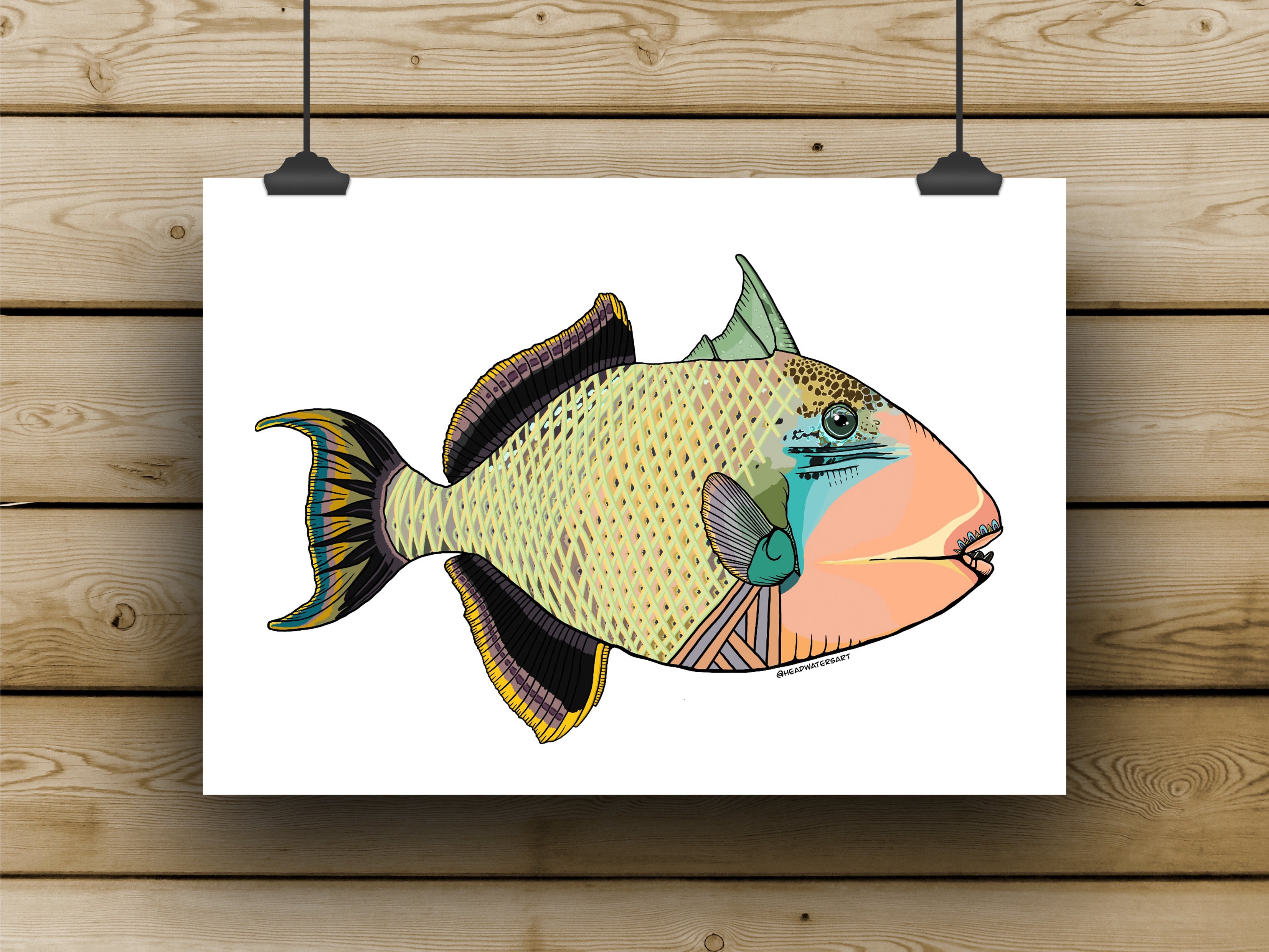Trigger Fish - APRIL **PREORDER** – Headwaters Art and Angling Co
