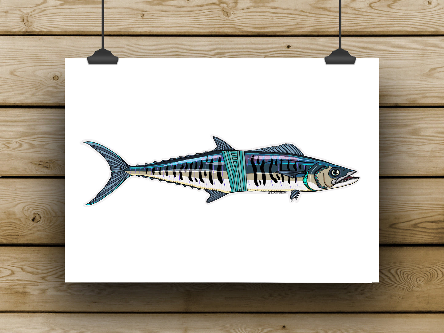 Spanish Mackerel Prints - **MONTHLY PREORDER** See description