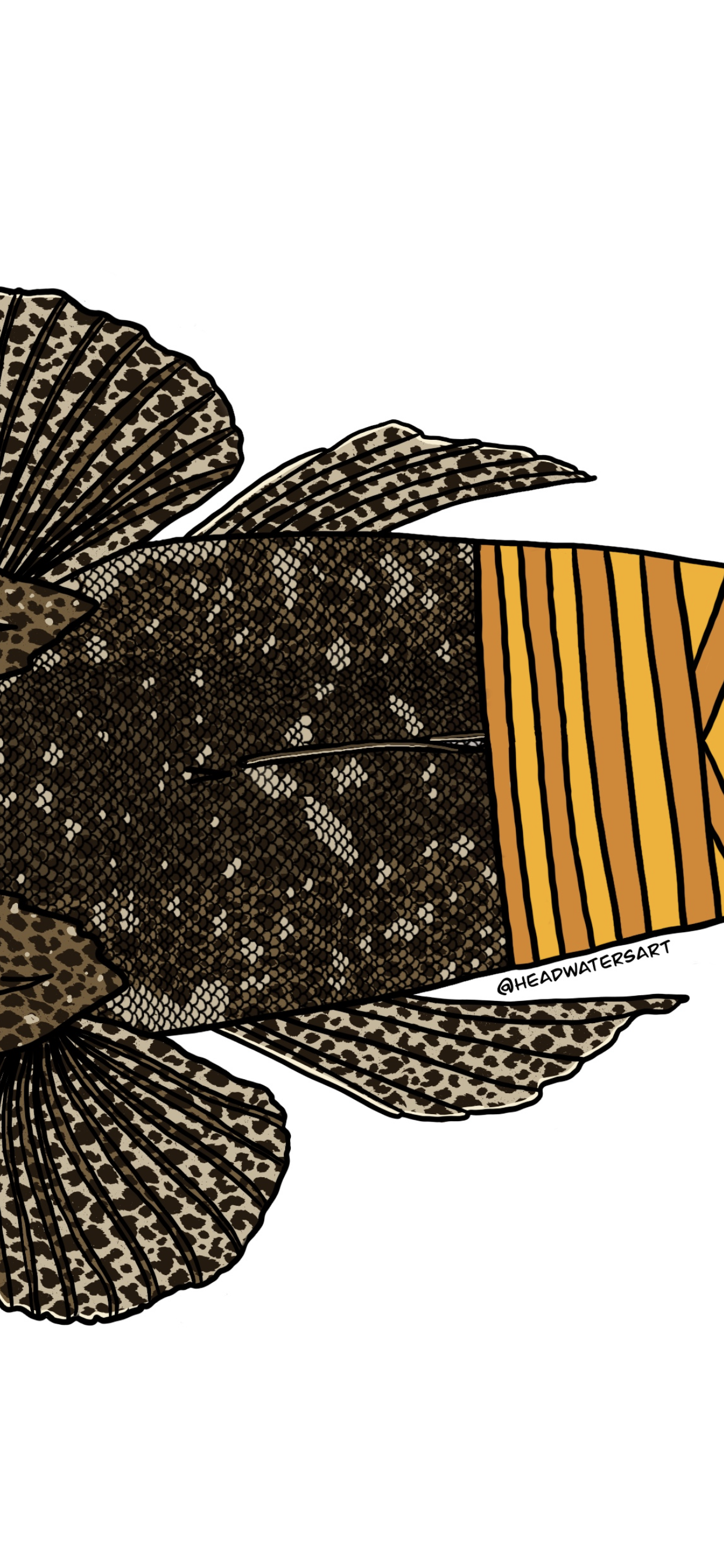 Flathead Decals