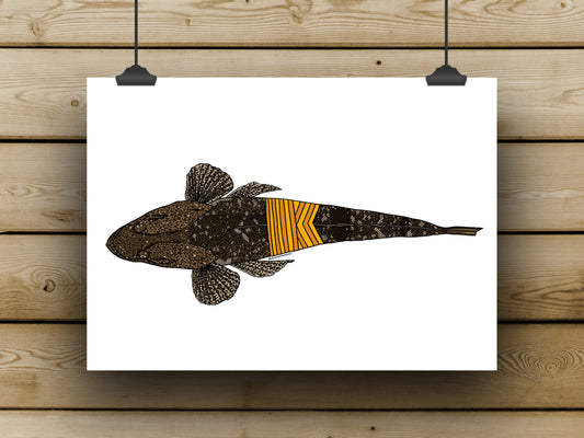 Flathead Prints - **MONTHLY PREORDER** See description