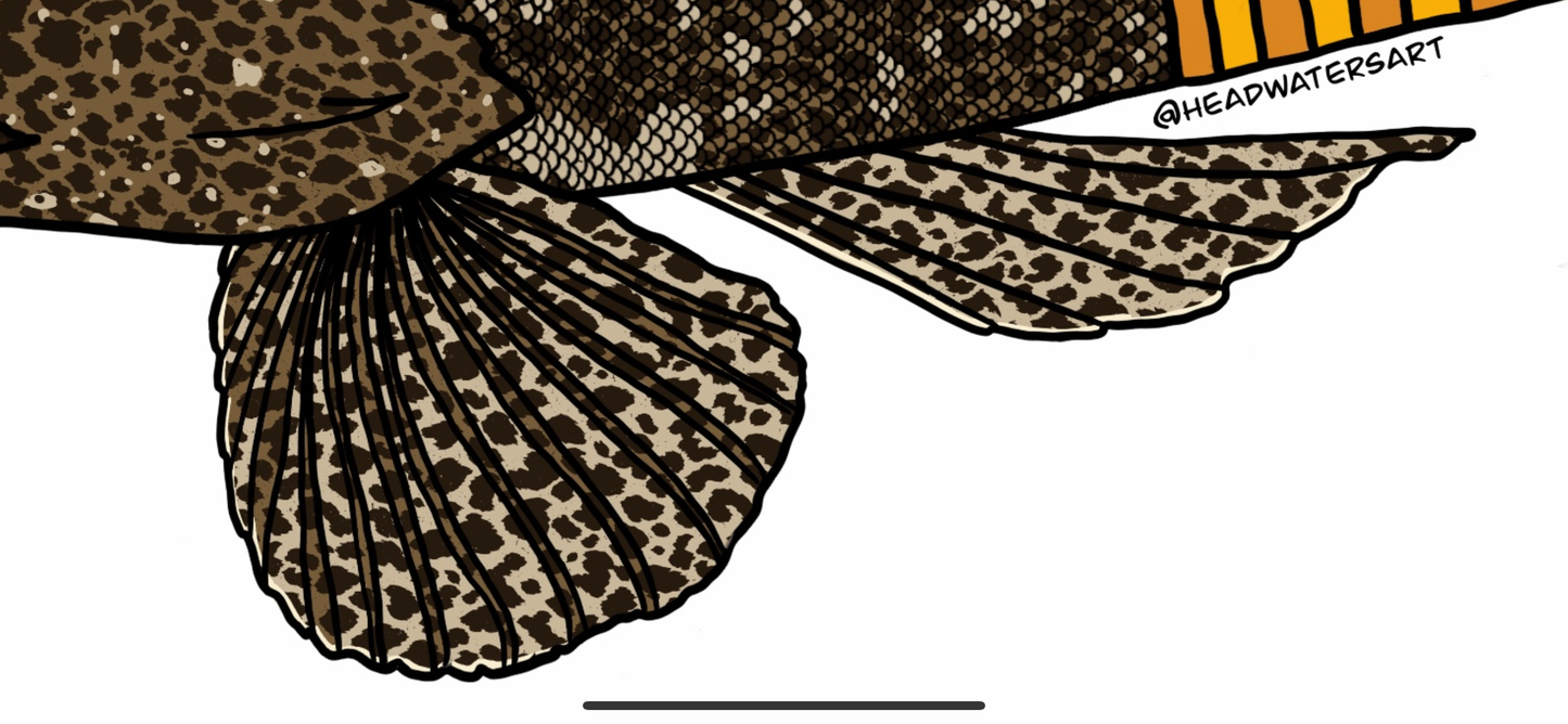 Flathead Decals