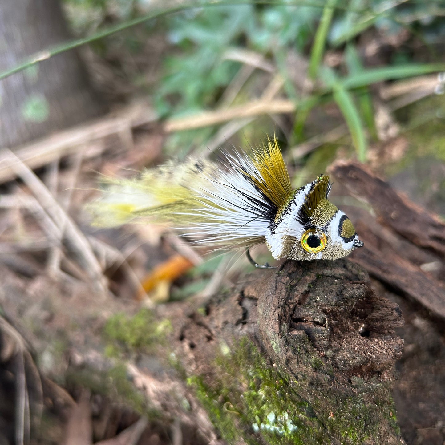 DAHLBERG DIVER - #2