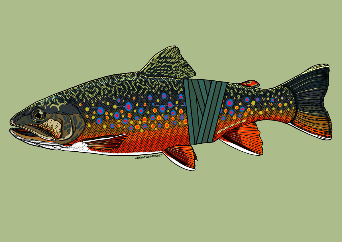 Brook Trout Prints - **MONTHLY PREORDER** See description