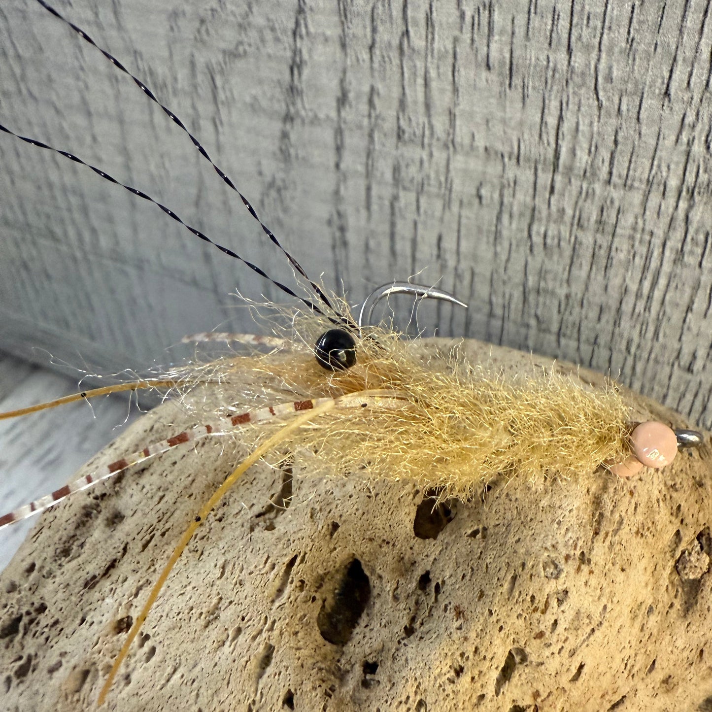 SANDY SHRIMPS
