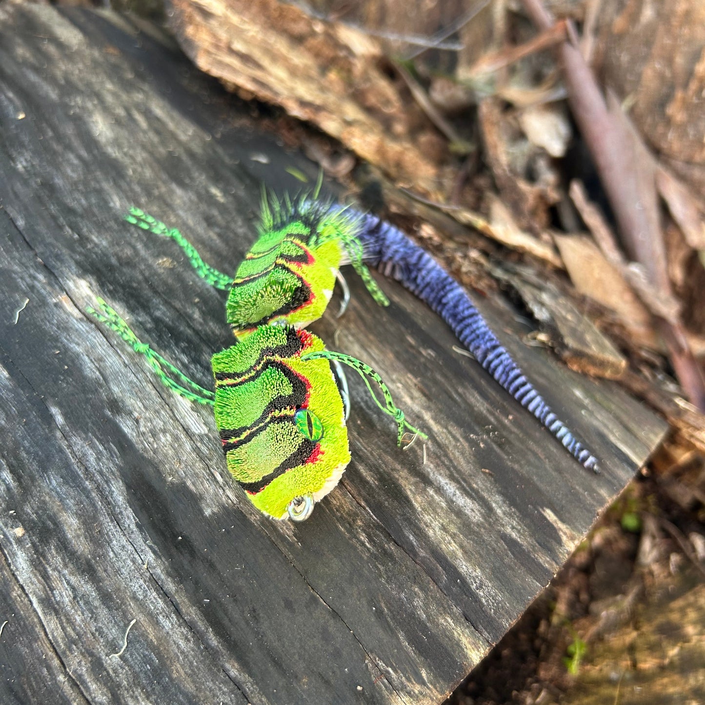 WATER DRAGON 8/0 - 6/0