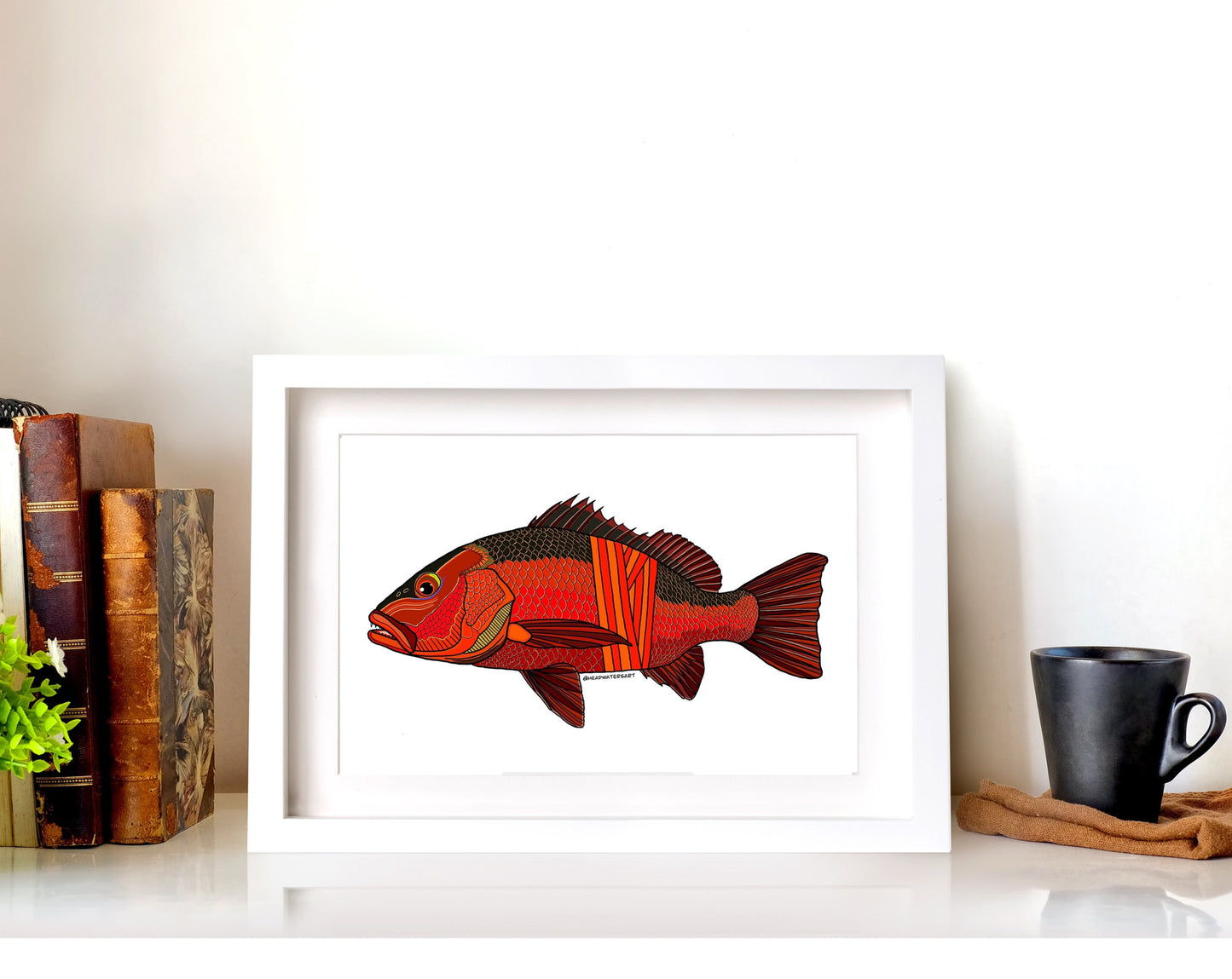 Mangrove Jack Prints - **MONTHLY PREORDER** See description