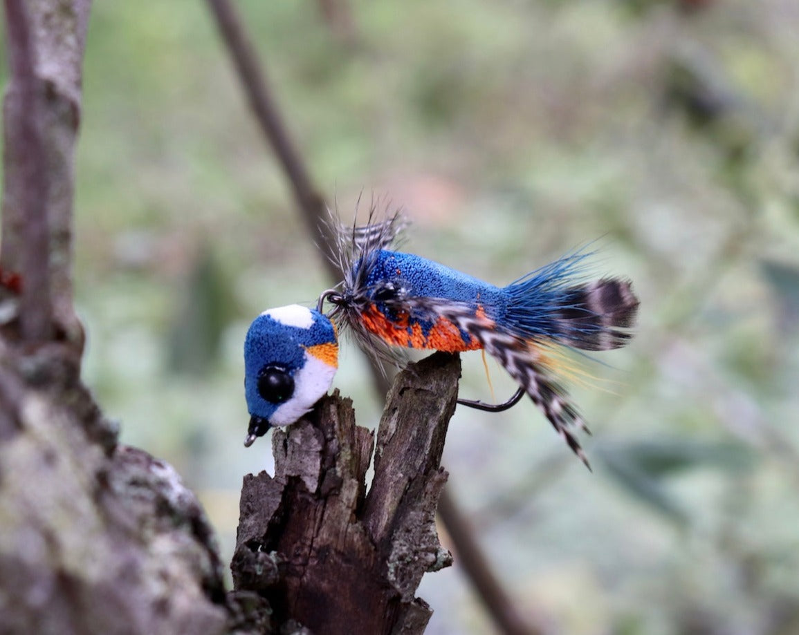 Azure King Fisher