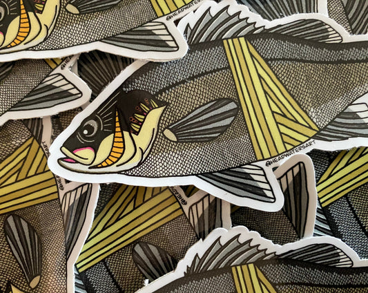 Australian artwork featuring hand-drawn art by Justin Webber. All fish measure approximately 120mm and 250mm. Premium vinyl stickers, specially laminated to resist the elements.