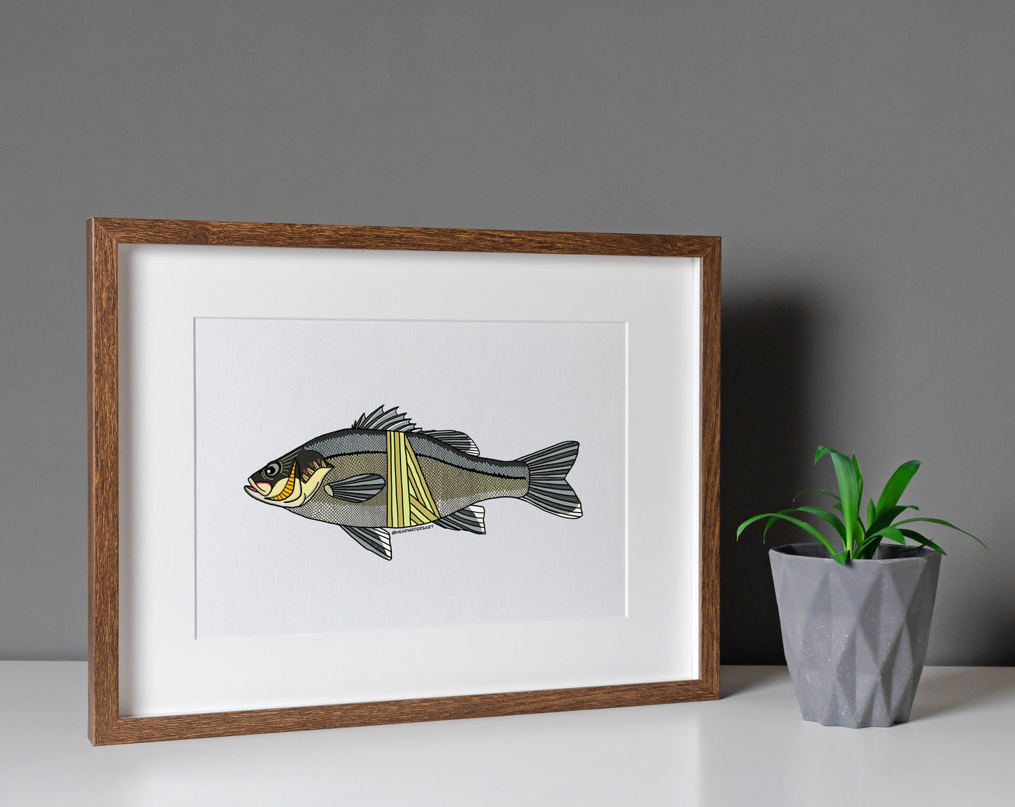Australian Bass Prints - DECEMBER **PREORDER**