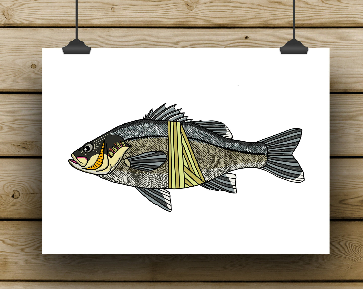 Australian Bass Prints - DECEMBER **PREORDER**