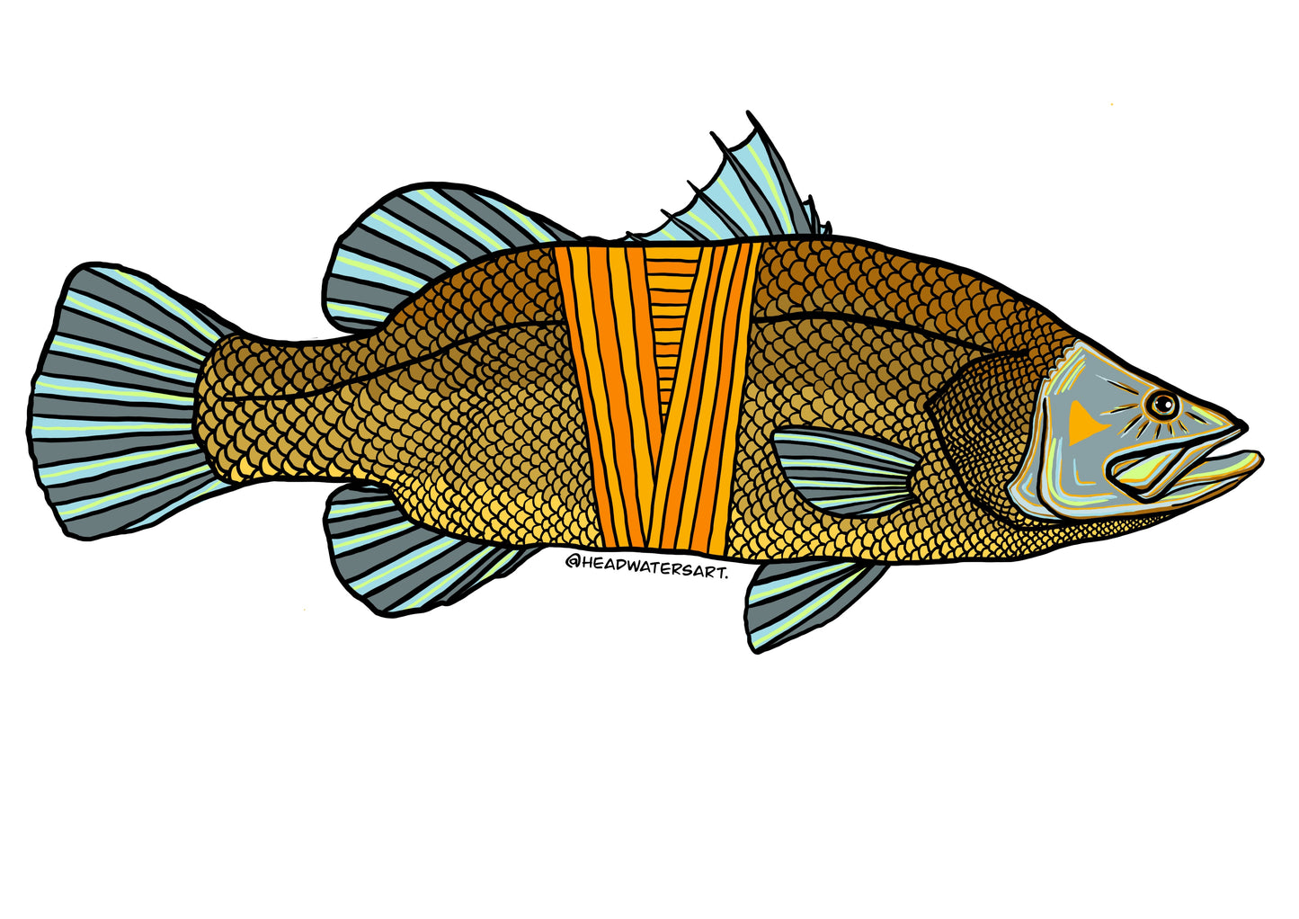 Barramundi Decals