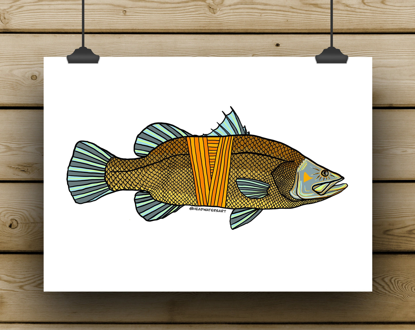 Barramundi Prints - **MONTHLY PREORDER** See description