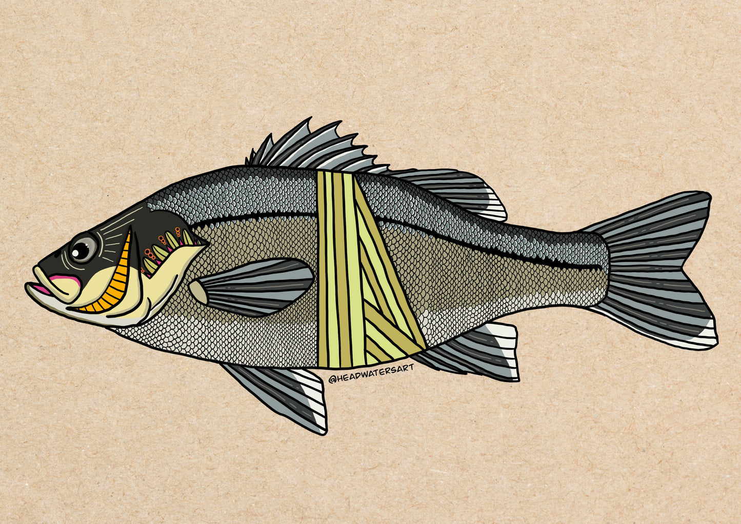 Australian Bass Decals