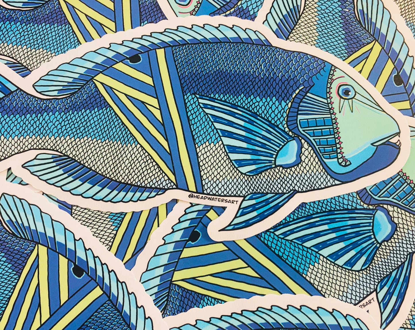 Blackspot Tusk Fish artwork featuring hand-drawn art by Justin Webber. All fish measure approximately 120mm and 250mm. Premium vinyl stickers, specially laminated to resist the elements.