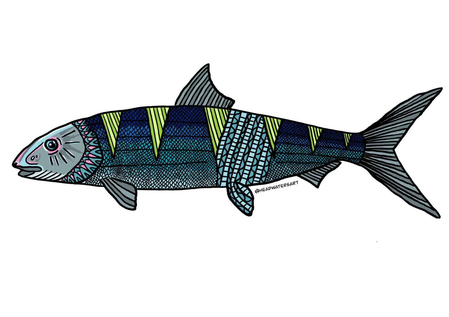 Bonefish Decals