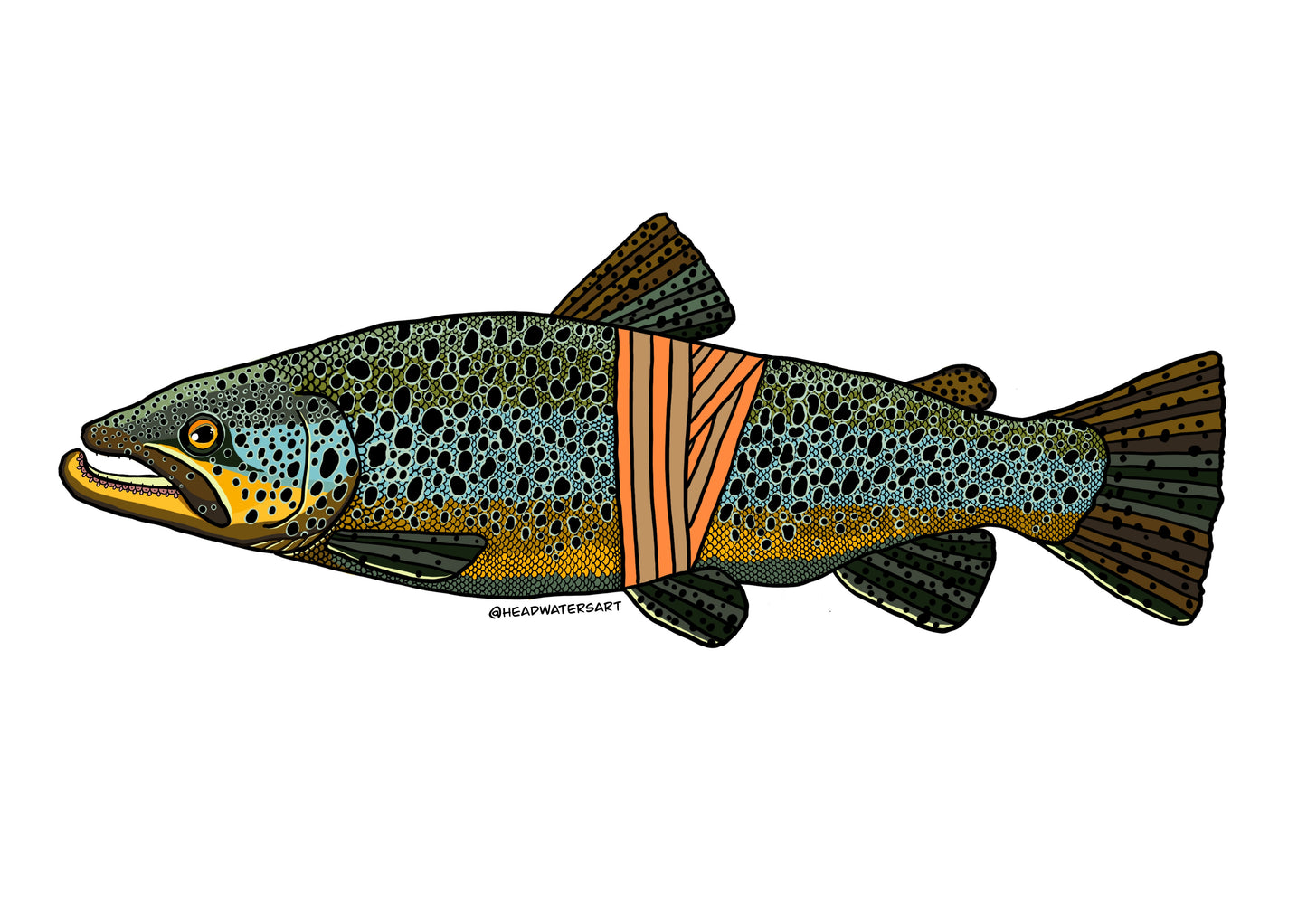 New Zealand Brown Trout Decals