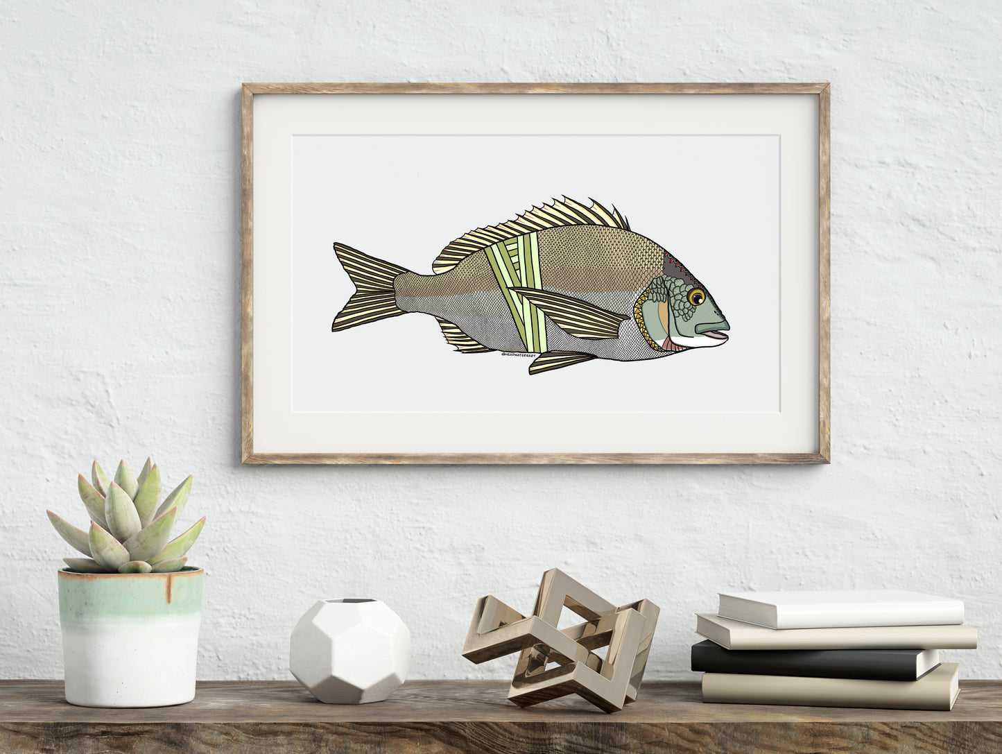 Australian Bream Prints - **MONTHLY PREORDER** See description