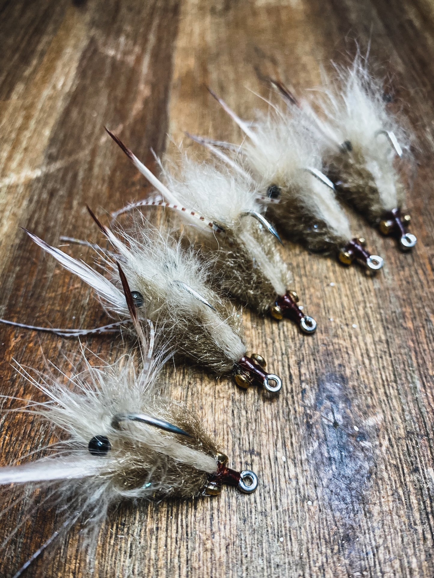 Tan Shrimps